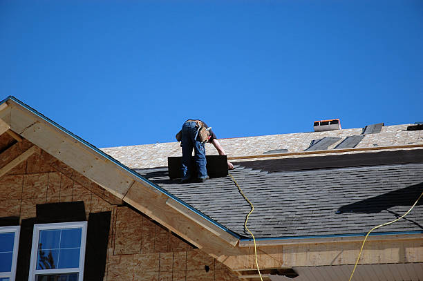 Best Storm Damage Roof Repair  in Piedmont, AL